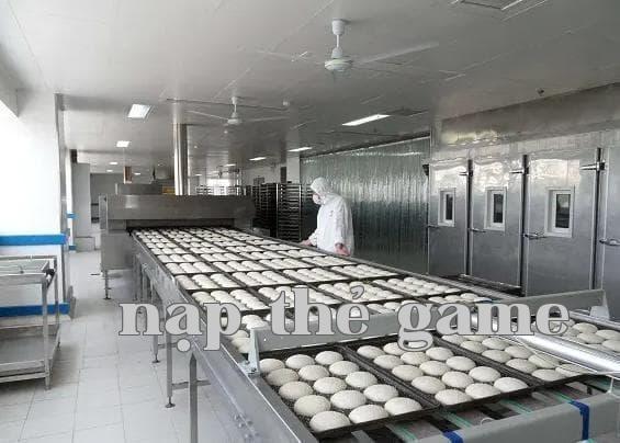 Trang trí phòng sạch trong nhà máy chế biến thực phẩm