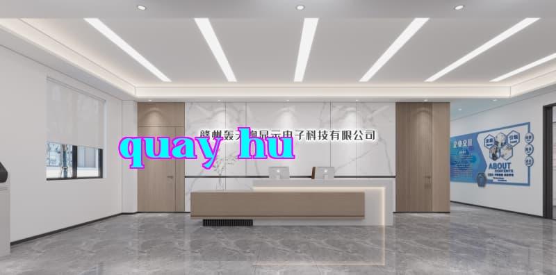 Công ty TNHH Điện Tử Hiển Thị Hùng Thiên Báo, Cửu Giới