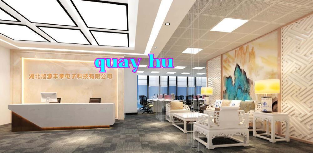 Công ty TNHH Điện tử Hùng Nguyên Phong Thai, Hồ Bắc