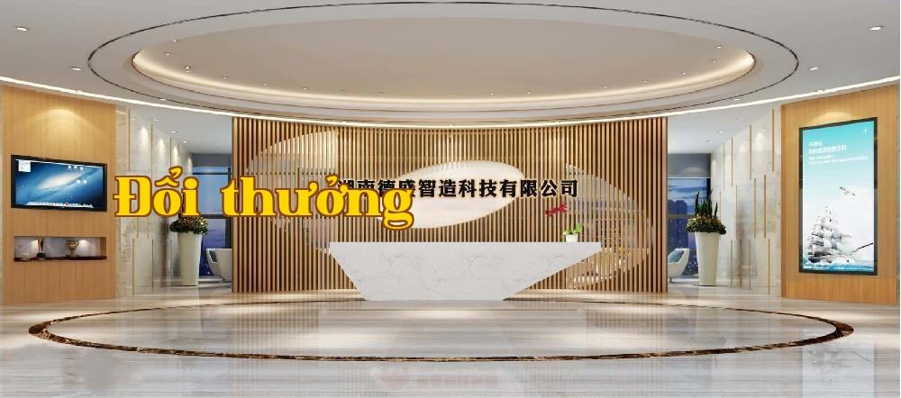 Công ty TNHH Khoa học và Công nghệ Đệ Thắng Trí Tạo, Hồ Nam