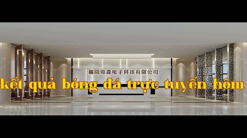 Công ty TNHH Điện tử Đế Thần, Hoàng Dương